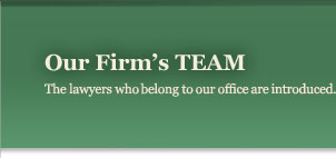 Our Firm's TEAM